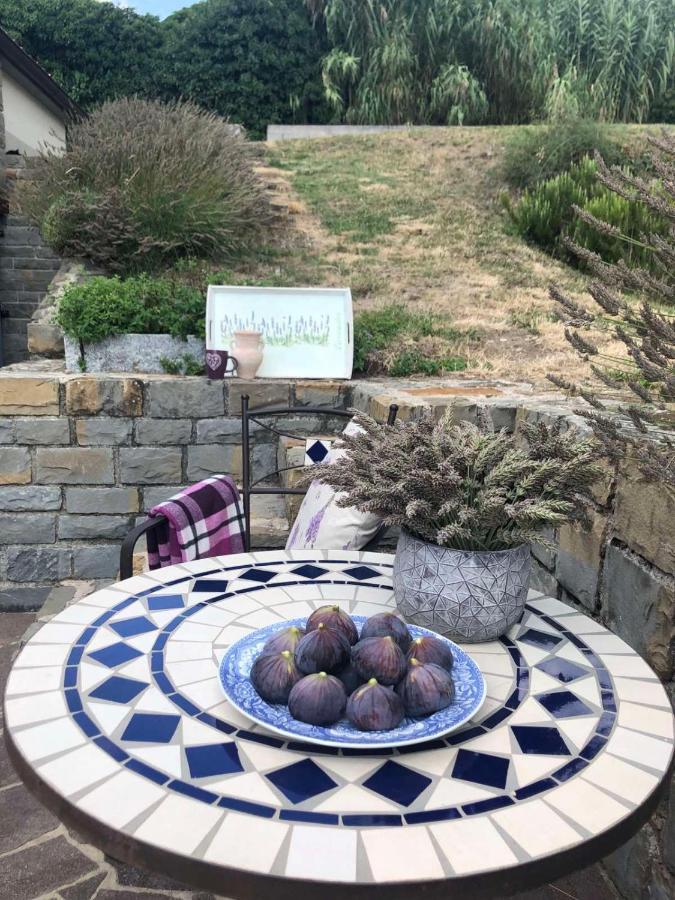 Fig&Lavender Apartment Šmarje Exteriör bild